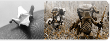 Photographie macro